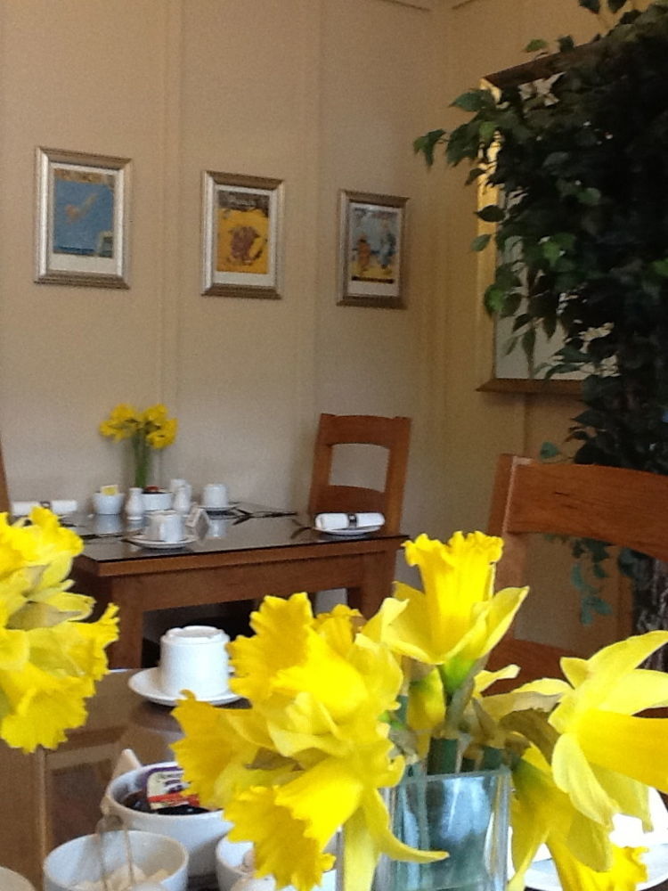 The Groveside Guest House Sidmouth Dış mekan fotoğraf